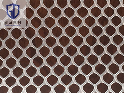 小孔育雏塑料平网-河北固盾丝网制品有限公司