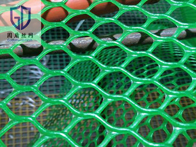 新料塑料平网-河北固盾丝网制品有限公司