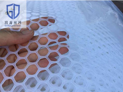 中孔塑料养鸡平网-河北固盾丝网制品有限公司