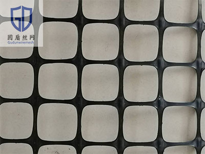 塑料土工网-河北固盾丝网制品有限公司